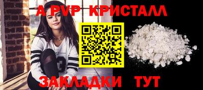 круглые Кингисепп