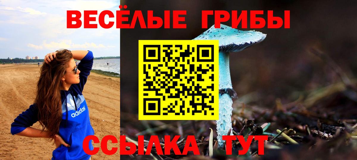 Красноярск  закладка  Вход с VPN  Псилоцибиновые грибы Psilocybine cubensis 